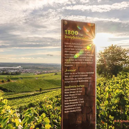 Neu - Wenkheimer Hof Scheunen-loft Διαμέρισμα Iphofen