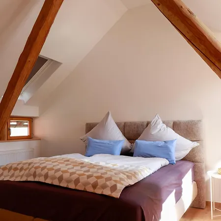 Διαμέρισμα Neu - Wenkheimer Hof Scheunen-loft *