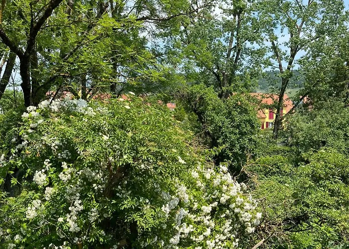 Apartman Neu - Wenkheimer Hof Scheunen-loft