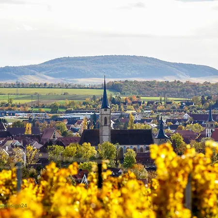 Neu - Wenkheimer Hof Scheunen-loft Appartamento