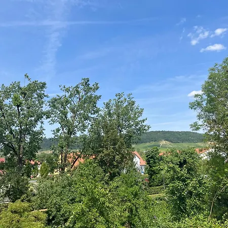 Neu - Wenkheimer Hof Scheunen-loft * Iphofen