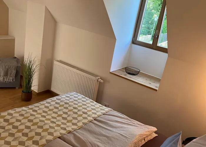 Neu - Wenkheimer Hof Scheunen-loft アパート